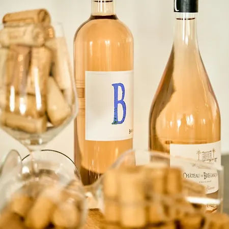 酒店 Hvide Klit 4*