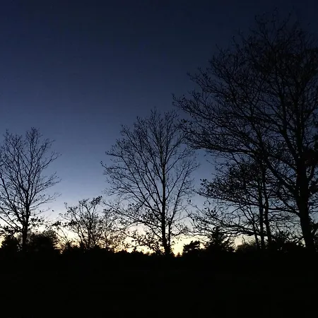 Hvide Klit Hotell Ålbæk