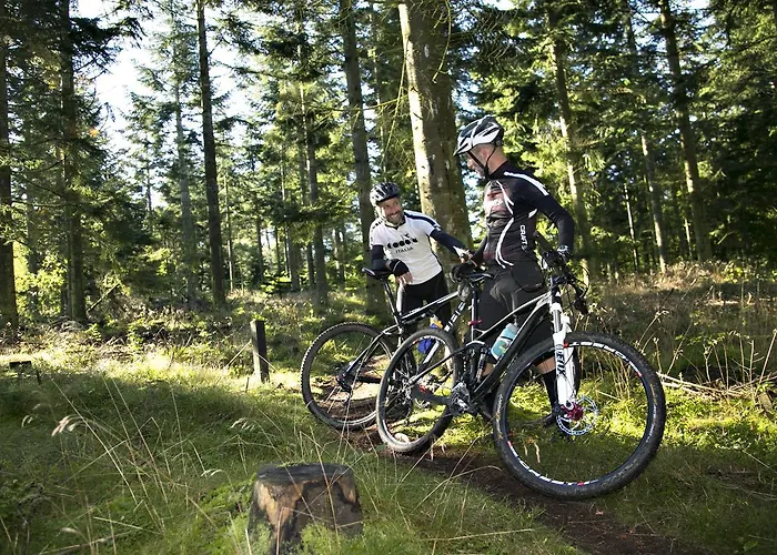 Hotel Hvide Klit Ålbæk