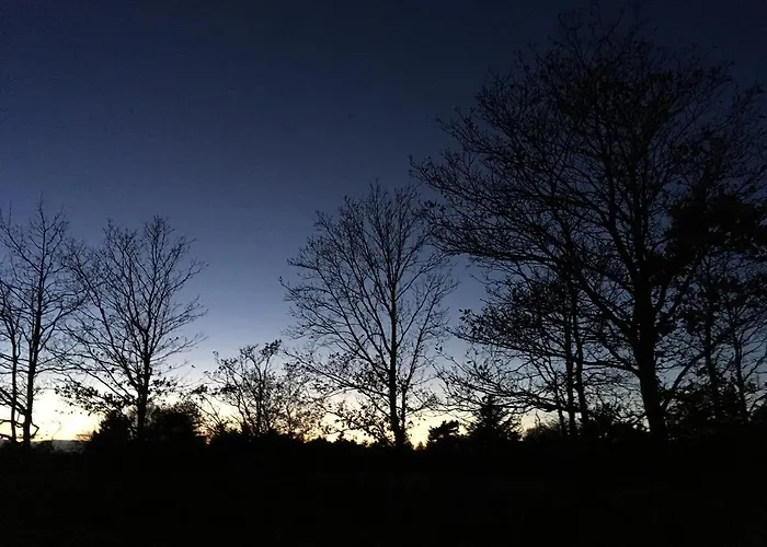 Hvideklit Hotel Ålbæk